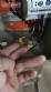 Tanque em a�o inox 270 litros