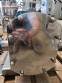 Bomba de l�bulos inox 316 Alfa Laval ano 2017 SRU 4