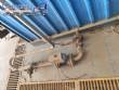 Caldeira gerador de vapor Collins WMO-455F