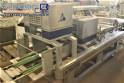 Grupo autom�tico moldadora para massa de p�o Argental