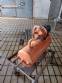 Bomba de v�cuo Omel