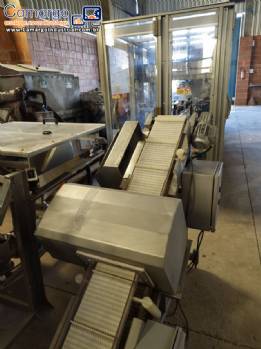 Detector de metais Brapenta